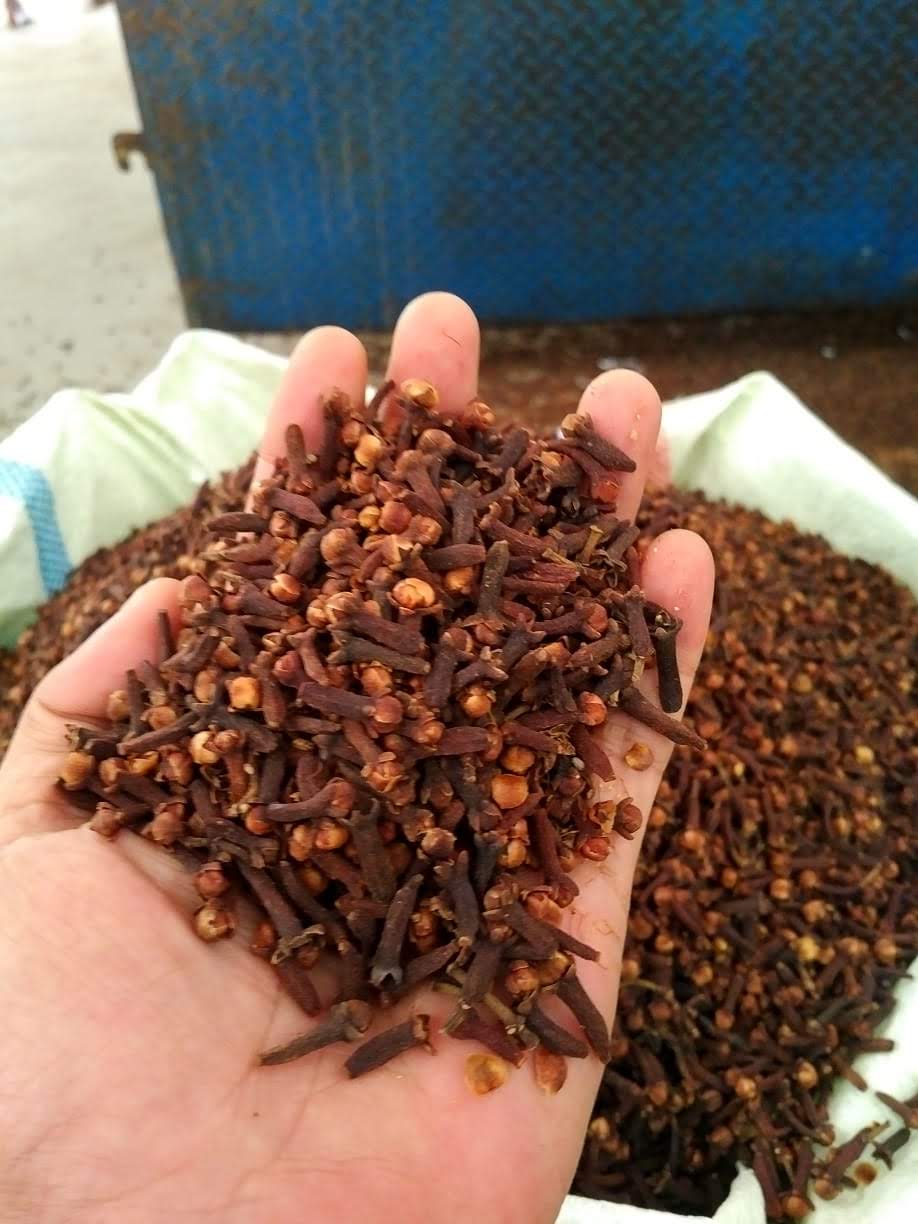 Clove Lalpari premium