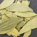 Bay Leaf tejpatta