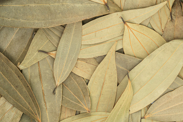 Bay Leaf tejpatta
