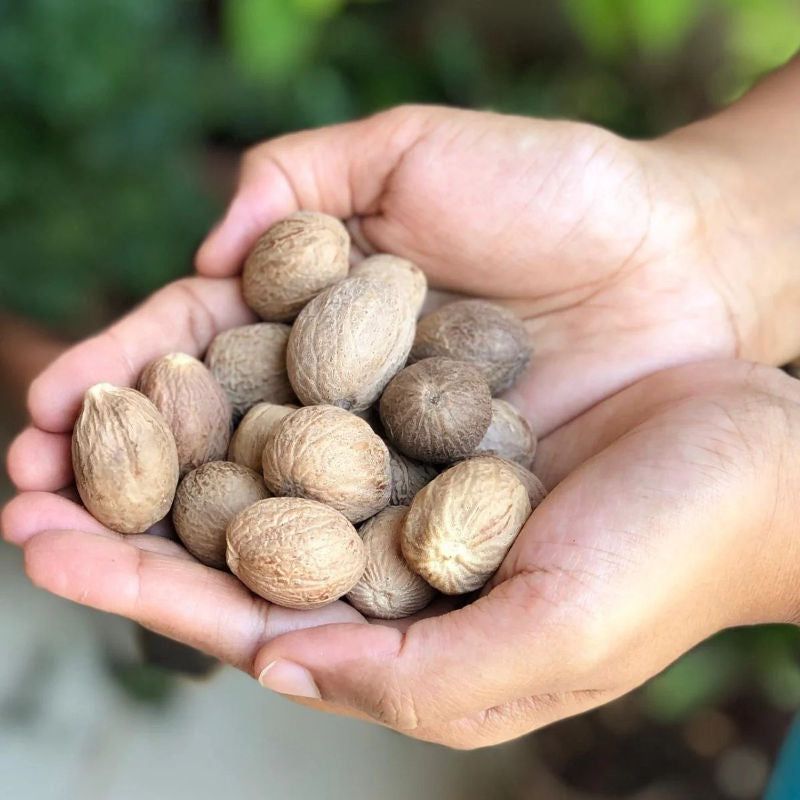 Nutmeg Jakayi