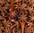 Staranise (Chakramoggu)