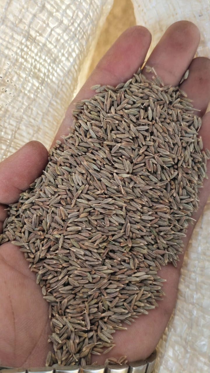 Jeera Cummins 1kg