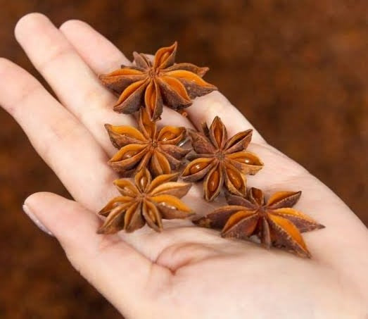 Staranise (Chakramoggu)