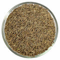 Shaajeera (Shahi Jeera)
